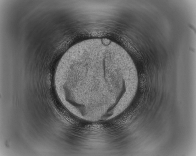 X0000096680639200803041241