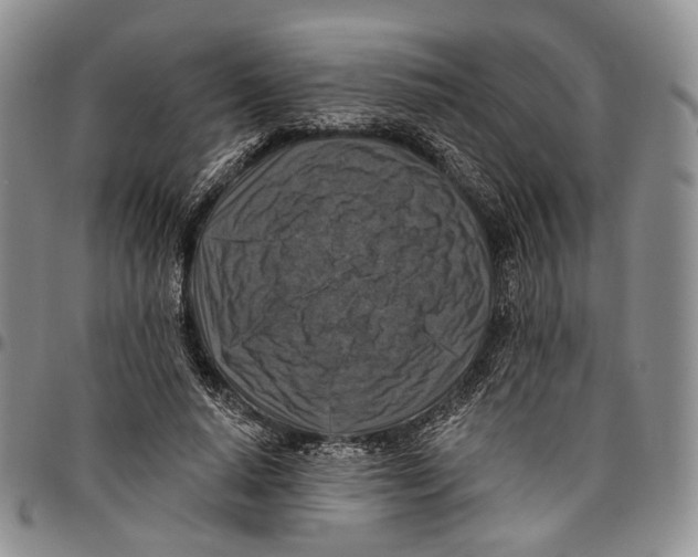 X0000096680640200803041241