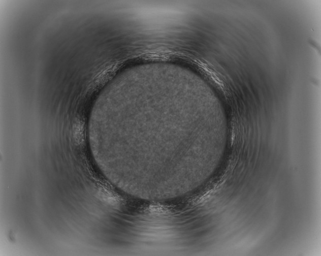 X0000096680641200803041241