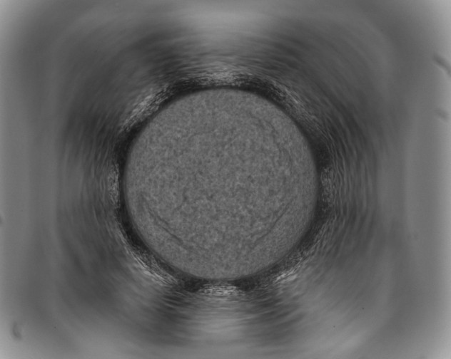 X0000096680642200803041241