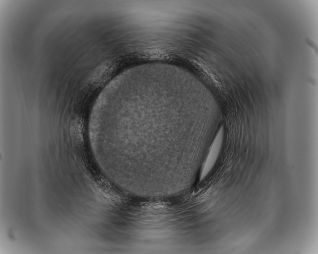 X0000096680643200803041241