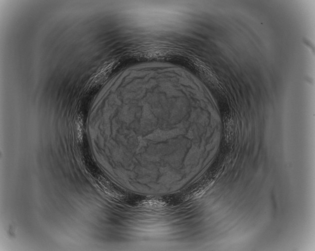 X0000096680644200803041241