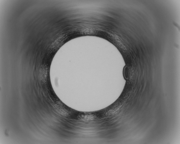 X0000096680645200803041241
