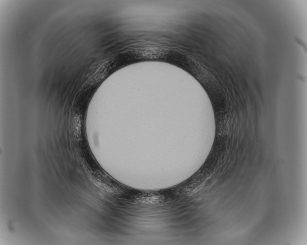 X0000096680646200803041241