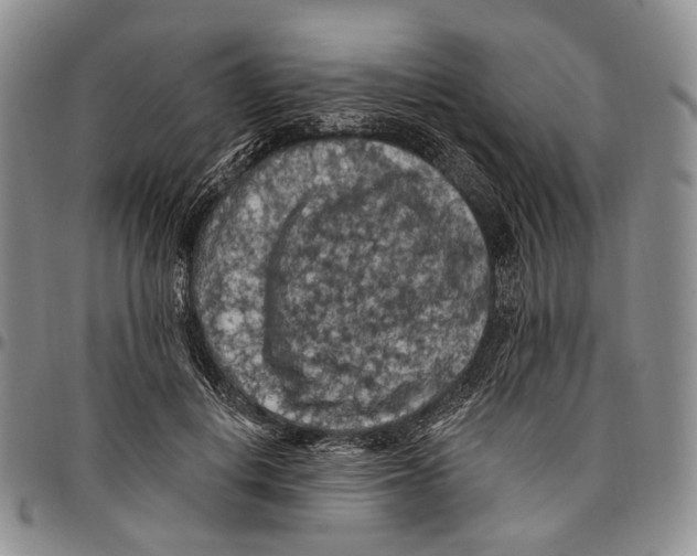 X0000096680648200803041241
