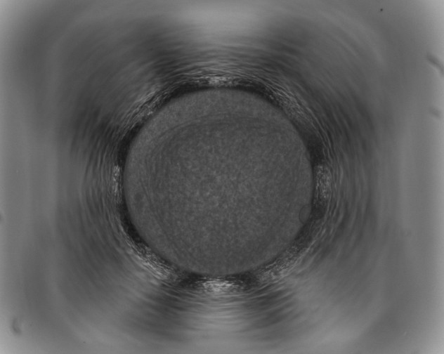 X0000096680650200803041241