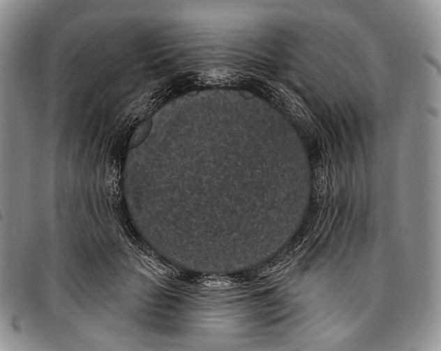 X0000096680653200803041241