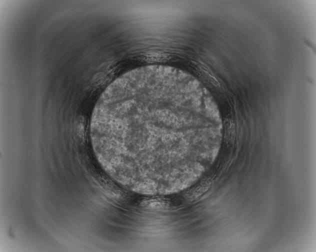 X0000096680655200803041241