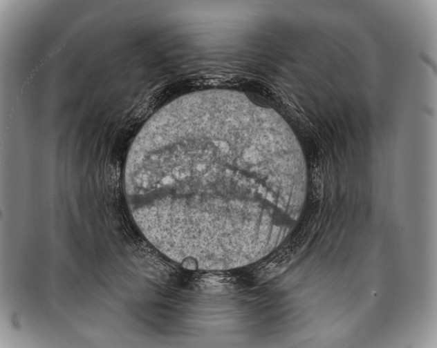 X0000096680657200803041241