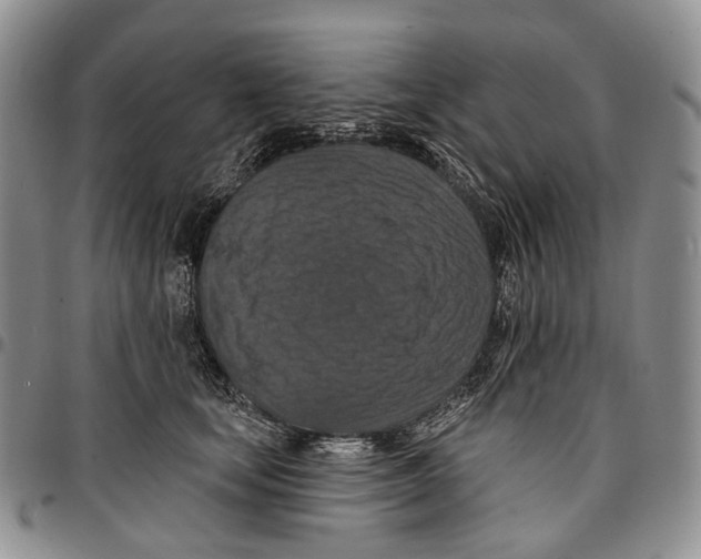 X0000096680659200803041241