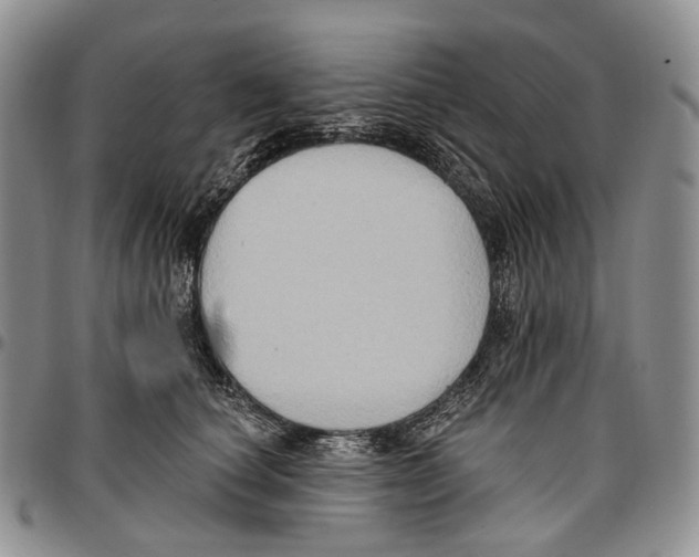 X0000096680660200803041241
