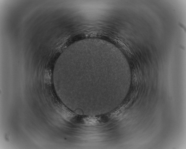 X0000096680661200803041241