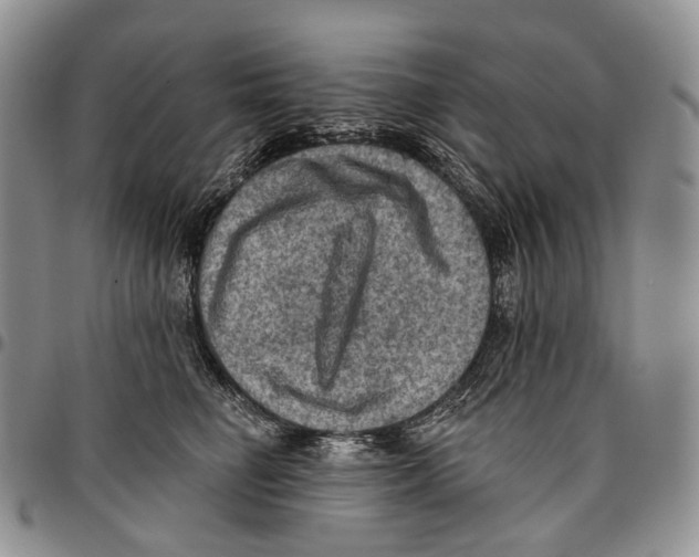 X0000096680662200803041241