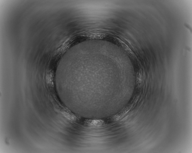 X0000096680663200803041241