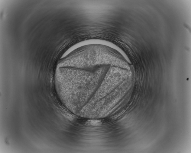 X0000096680665200803041241