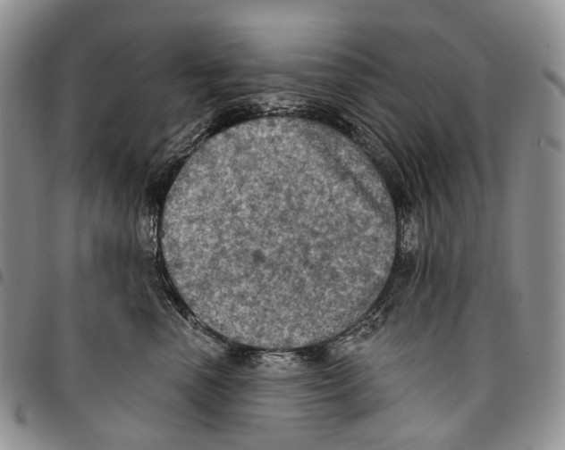 X0000096680666200803041241