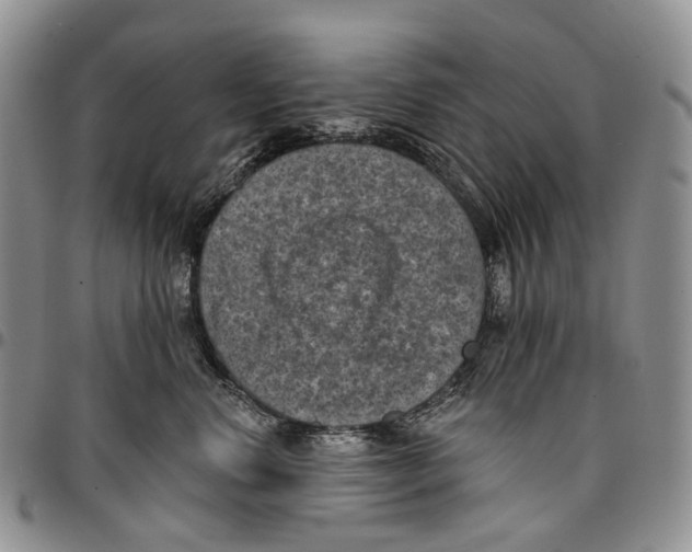X0000096680668200803041241