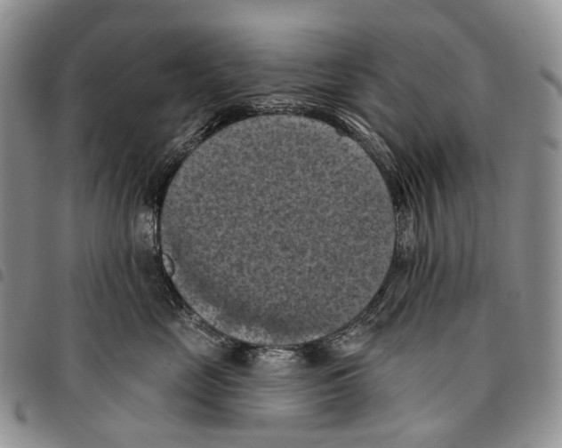 X0000096680669200803041241