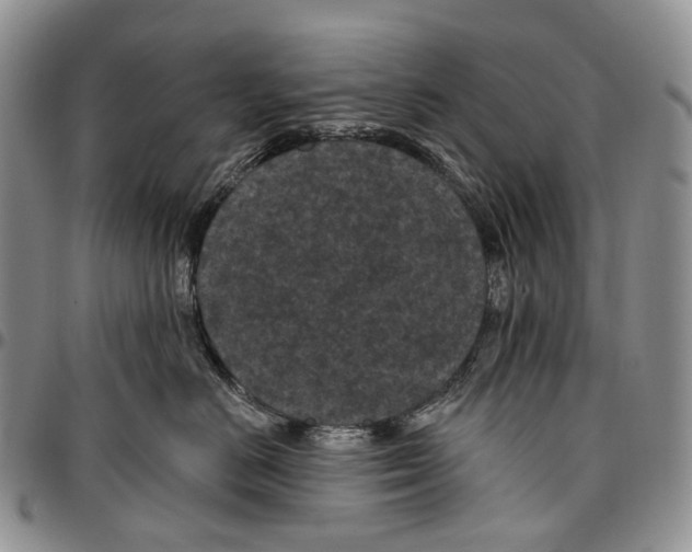 X0000096680670200803041241