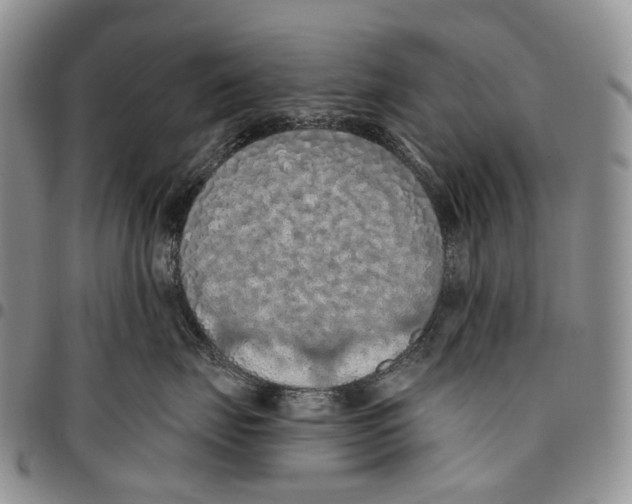 X0000096680671200803041241