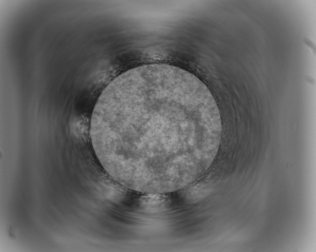 X0000096680672200803041241