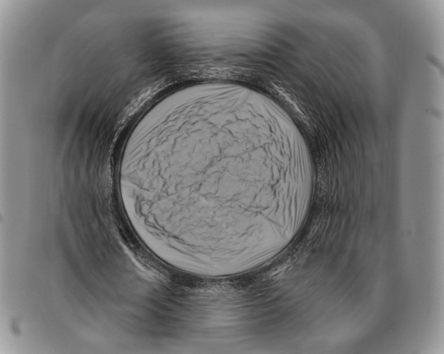 X0000096680674200803041241