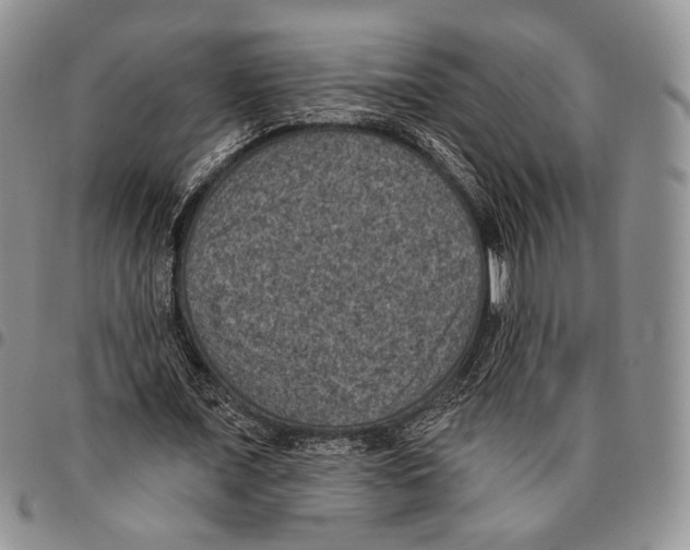 X0000096680675200803041241