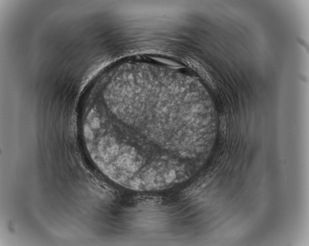 X0000096680676200803041241