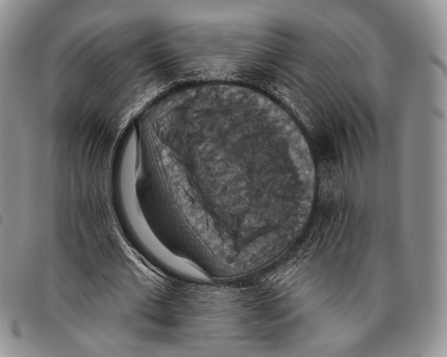 X0000096680677200803041241