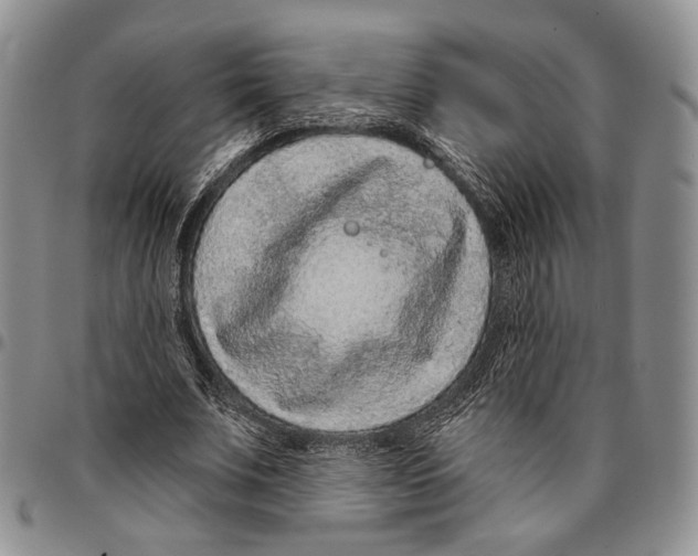X0000096680679200803041241