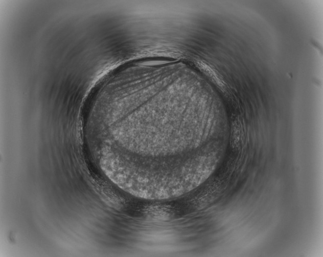 X0000096680680200803041241