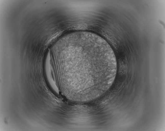 X0000096680681200803041241