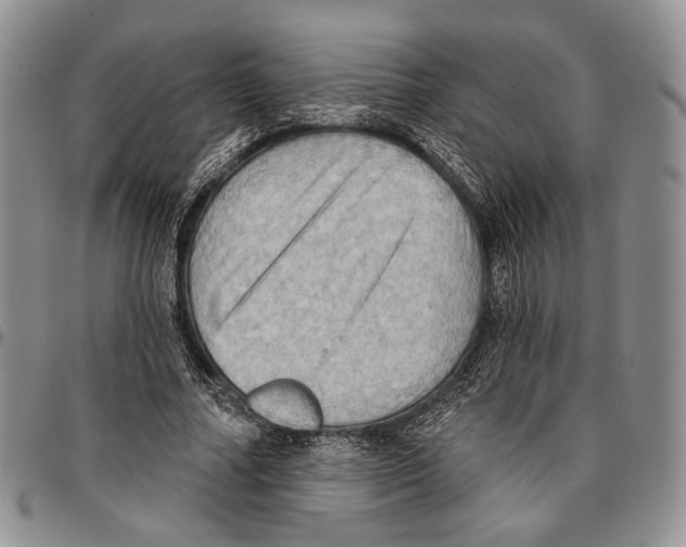 X0000096680682200803041241