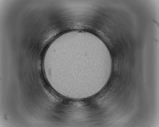X0000096680683200803041241