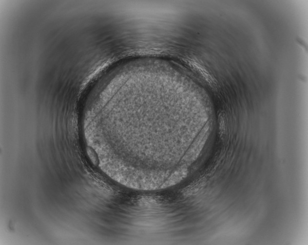 X0000096680684200803041241