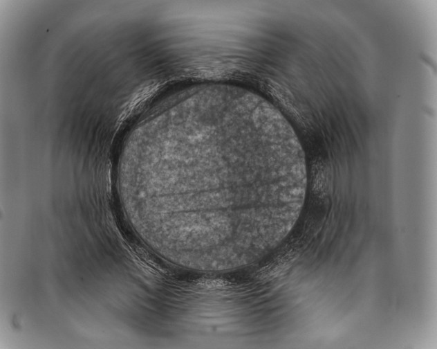X0000096680685200803041241
