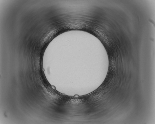 X0000096680686200803041241