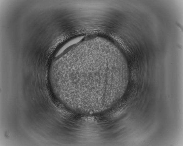 X0000096680687200803041241
