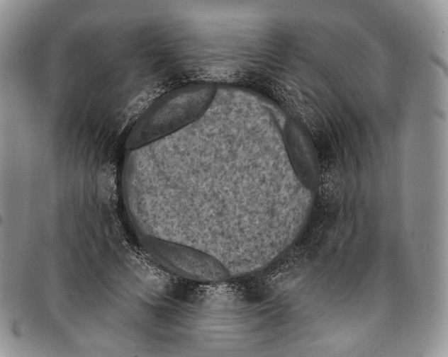 X0000096680688200803041241