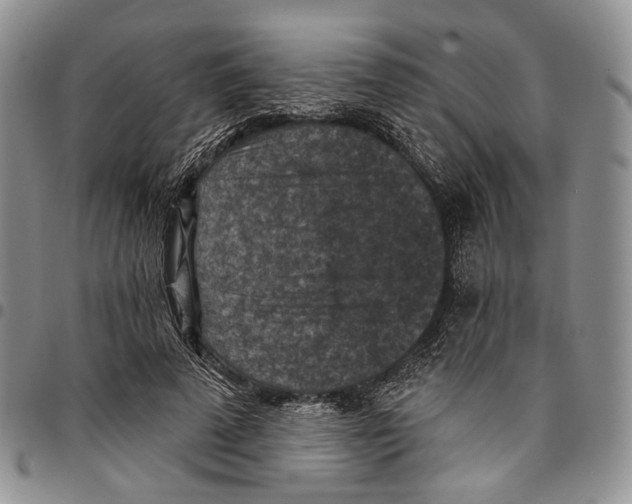 X0000096680689200803041241