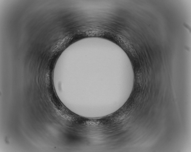 X0000096680690200803041241