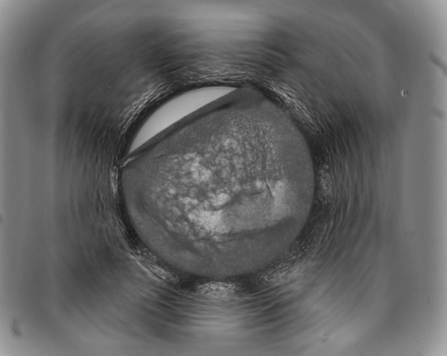 X0000096680691200803041241