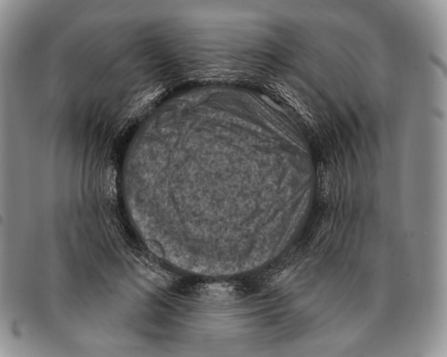X0000096680692200803041241