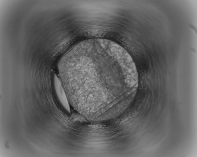 X0000096680693200803041241