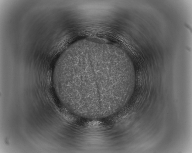 X0000096680695200803041241