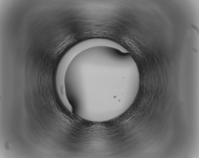 X0000096680696200803041241