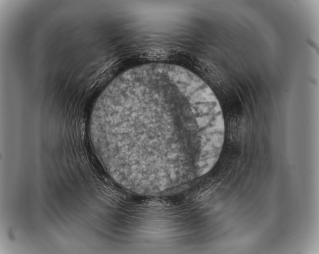 X0000096680697200803041241