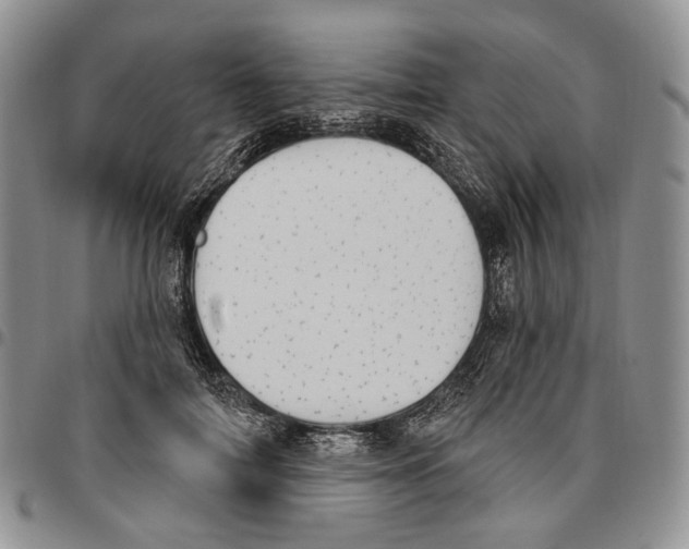 X0000096680698200803041241