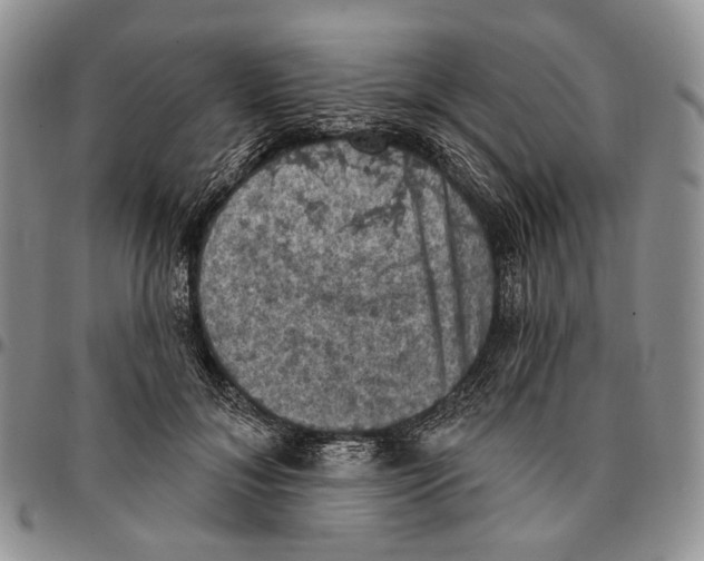 X0000096680700200803041241