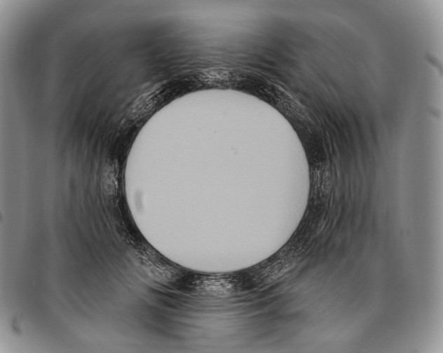 X0000096680702200803041241